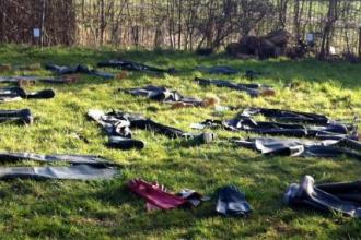 Waders drying in the sun 
