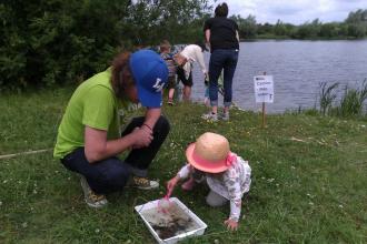 Pond dipping with volunteer Caylin Gans