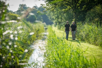 People walking along a path in a wetland nature reserve