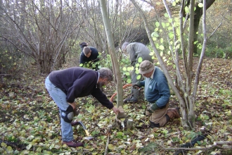 Managing habitat in the woods