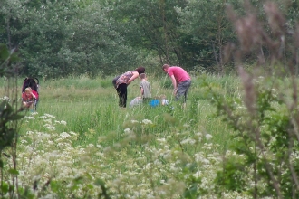 Bioblitz at Bradlaugh Fields