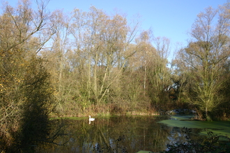 Image of tress and lake at Begwary Brook