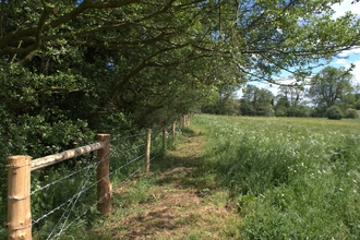 Image of Flitwick Moor