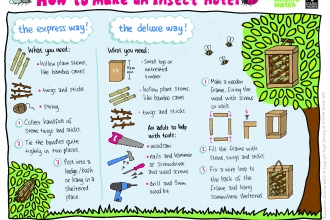 A how-to sheet for building an insect hotel