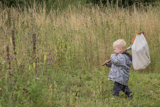 Toddler with sweep net walking through meadow