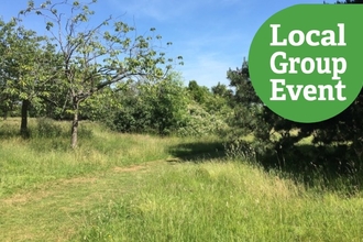 Grassy pathway through a section of Park Wood, with "local Group Event" icon overlaid