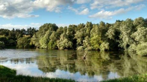 Pitsford Water Nature Reserve