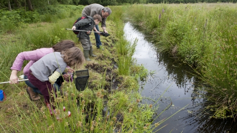 Family pond dipping at a wetland nature reserve