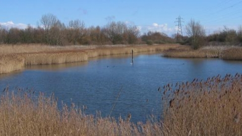 Woodston Ponds