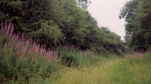 Woodford Halse credit. Edgar Giles