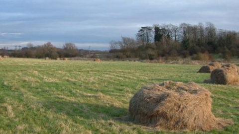 Tailby Meadow credit. David Price