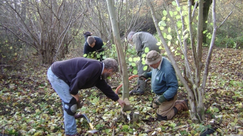 Managing habitat in the woods