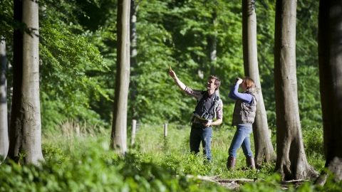 People surveying woodland