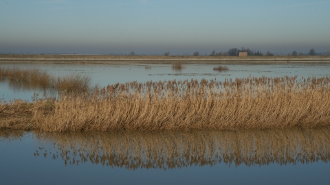 Ouse washes credit. Pat Doody