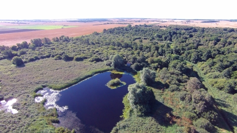 Great Fen - Woodwalton Fen