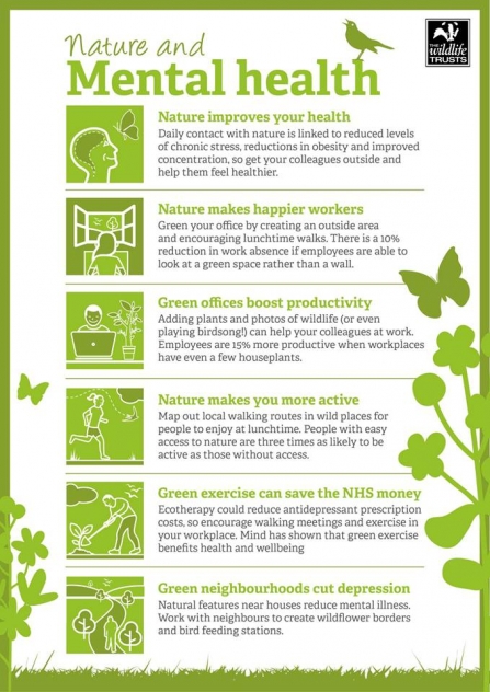Nature and Mental Health Infographic