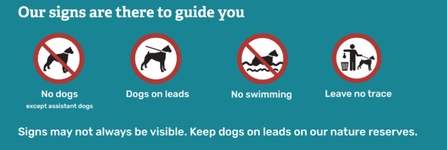 Infographic: "Our signs are there to guide you". An icon of a dog in a red outlined circle with a diagonal red line through it means "no dogs except assistant dogs". A dog icon in a red outlined circle means "dogs on leads". An icon of a dog in water in a red outlined circle with a diagonal red line through it means "no swimming" and an icon showing a dog walker putting waste into a bin, in a red outlined circle, means "leave no trace". "Signs may not always be visible. Keep dogs on leads on reserves"