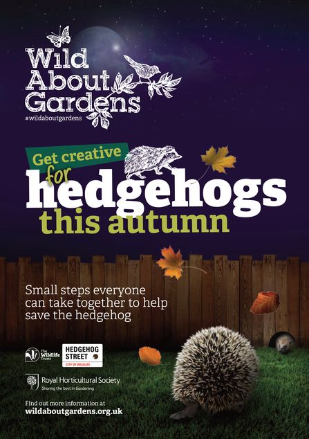 Cover for Wild About Gardens Hedgehog Booklet. Title says 'Get Creative For Hedgehogs This Autumn - Small steps everyone can take together to help save the hedgehog.'