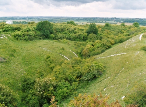 A view of Totternhoe