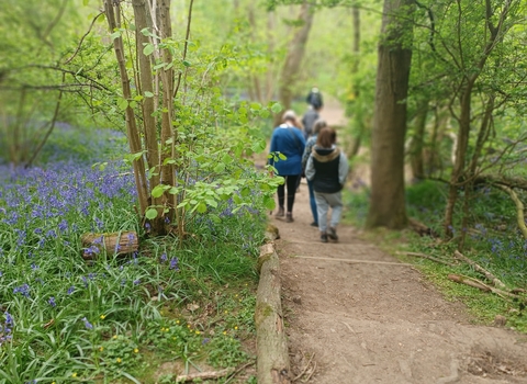 People walking through Waresley and Gransden Woods by Rebecca Neal