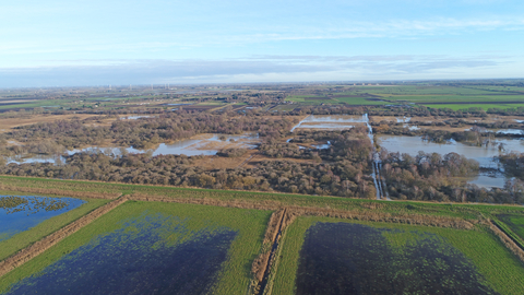 Great Fen -  C. Henry Stanier 