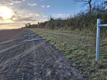 Fleam Dyke seeding 2