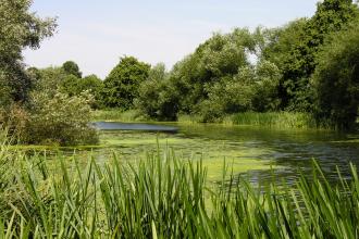 Northamptonshire Nature Reserves | Wildlife Trust for Cambs & Northants