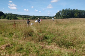 A WILDside survey taking place in the field