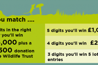 Wildlife Trust Lottery, click here