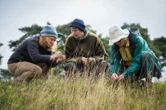 Volunteers surveying a wildflower meadow