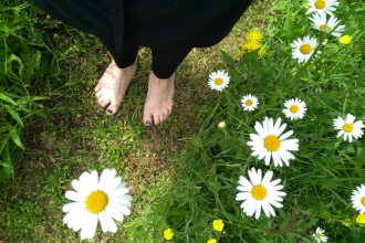 Bare feet on grass with oxeye daisies