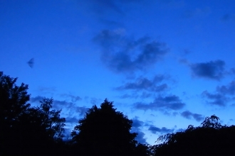 A bat in motion blur - a still from a film of bats flying overhead