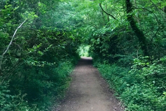 A path through the trees at Oaks Wood