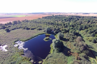 Great Fen - Woodwalton Fen