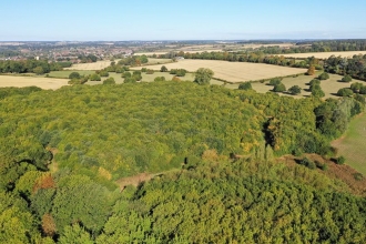 Drone's eye view of Park Wood LNR