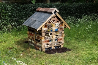 Downing College's bug hotel
