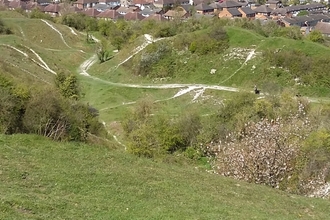 Blow's Downs credit. Wildlife Trust