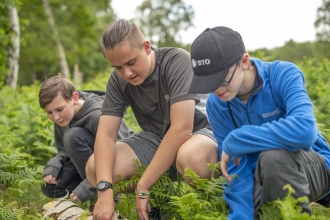 Youth Rangers in action pulling bracken at Cooper's Hill