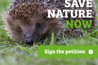 Save nature now - sign the petition