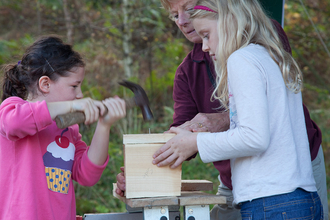 Bird box building