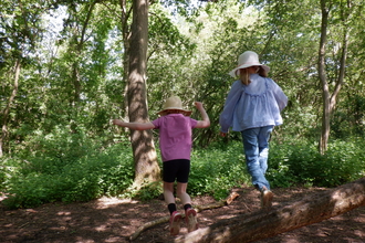 Children jumping from a log at Cambourne Nature Reserve