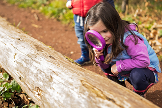 Girl holding purple magnifying glass looking at a fallen log