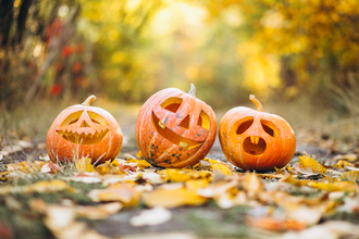 2 pumpkins with faces on Autumn ground