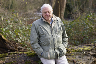 David Attenborough sat on a fallen tree in a woodland area