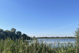 Blue sky over lake and reeds in foreground