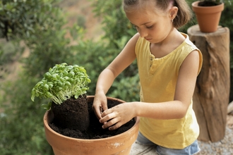 Child planting herbs in pot