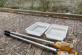 Pond dipping platform and nets