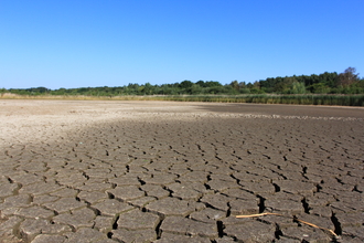 West scrape at Potteric Carr dried up (c) Jim Horsfall