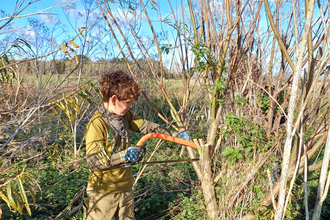 Youth Ranger Henry using saw to cut willow