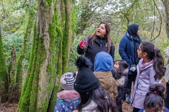 Luton Little bugs session in a woodland